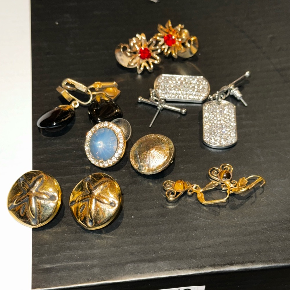 Earrings